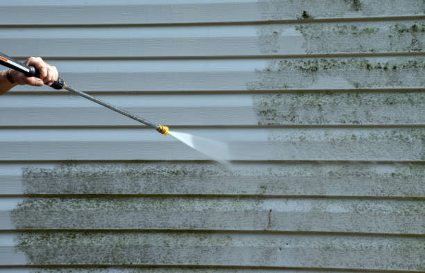 Best House Exterior Washing  in Norton, VA